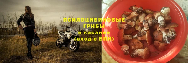 каннабис Белокуриха